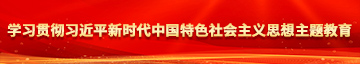 插小骚逼视频学习贯彻习近平新时代中国特色社会主义思想主题教育